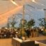Outdoor wedding reception in a marquee.